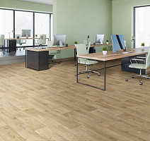 IVC Corsa TAVEL T37 фото 2 | FLOORDEALER